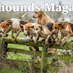 Revista de caza Foxhounds - Número uno, Revista deportiva de campo (Descarga PDF)