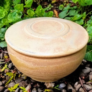 Pet Urn