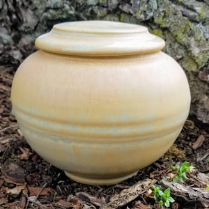 Pet Urn