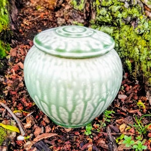 Pet Urn