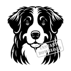 Berner Sennenhund SVG Bundle