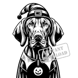 Pacchetto SVG di Vizsla in costume di Halloween