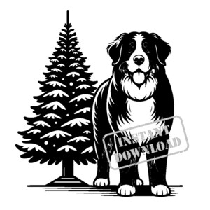 Berner Sennenhund mit Weihnachtsbaum SVG Bundle