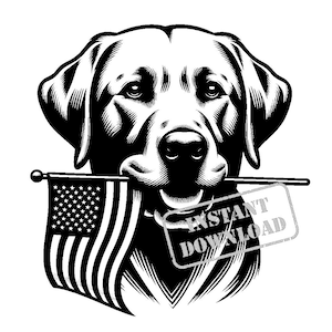 Labrador Retriever con un pacchetto SVG di bandiera americana