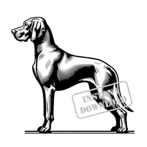 Vizsla in pop art style SVG bundle