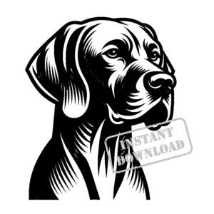 Vizsla SVG-Bundle