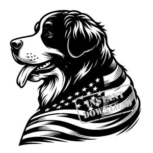 Berner Sennenhund mit einer amerikanischen Flagge SVG bündel
