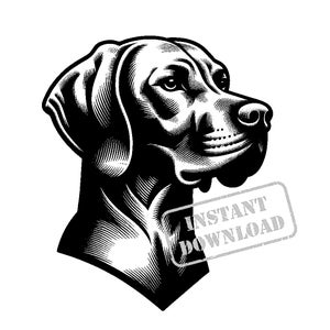 Vizsla in vintage style SVG bundle