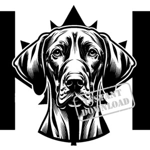 Vizsla con paquete SVG de bandera canadiense