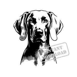 Weimaraner im Aquarell Stil SVG Bundle