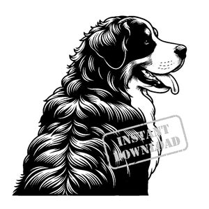Berner Sennenhund in einem Ein-Linien-Zeichnungsstil SVG Bundle