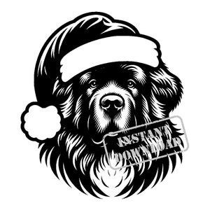 Lot Terre-Neuve avec un bonnet de Noel en SVG