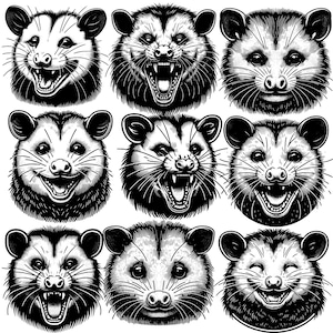 Caras de gambá clipart pacote gambá SVG pacote PNG pacote gambá svg gambá svg guaxinim svg clipart de roedor pacote lixo panda svg