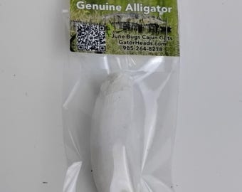 Large 2.75" Louisiana Alligator Gator Tooth Teeth Genuine Craft Jewelry