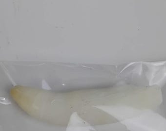 Large 2" Louisiana Alligator Gator Tooth Teeth Genuine Craft Jewelry