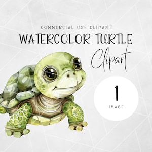 Acuarela bebé tortuga PNG Clipart / linda tortuga clipart / animales bebé clipart / vivero acuarela clipart / tortuga acuarela clipart