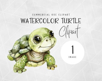 Watercolor Baby Turtle PNG Clipart | Cute Turtle Clipart | Baby Animals Clipart | Nursery Watercolor Clipart | Turtle Watercolor Clipart