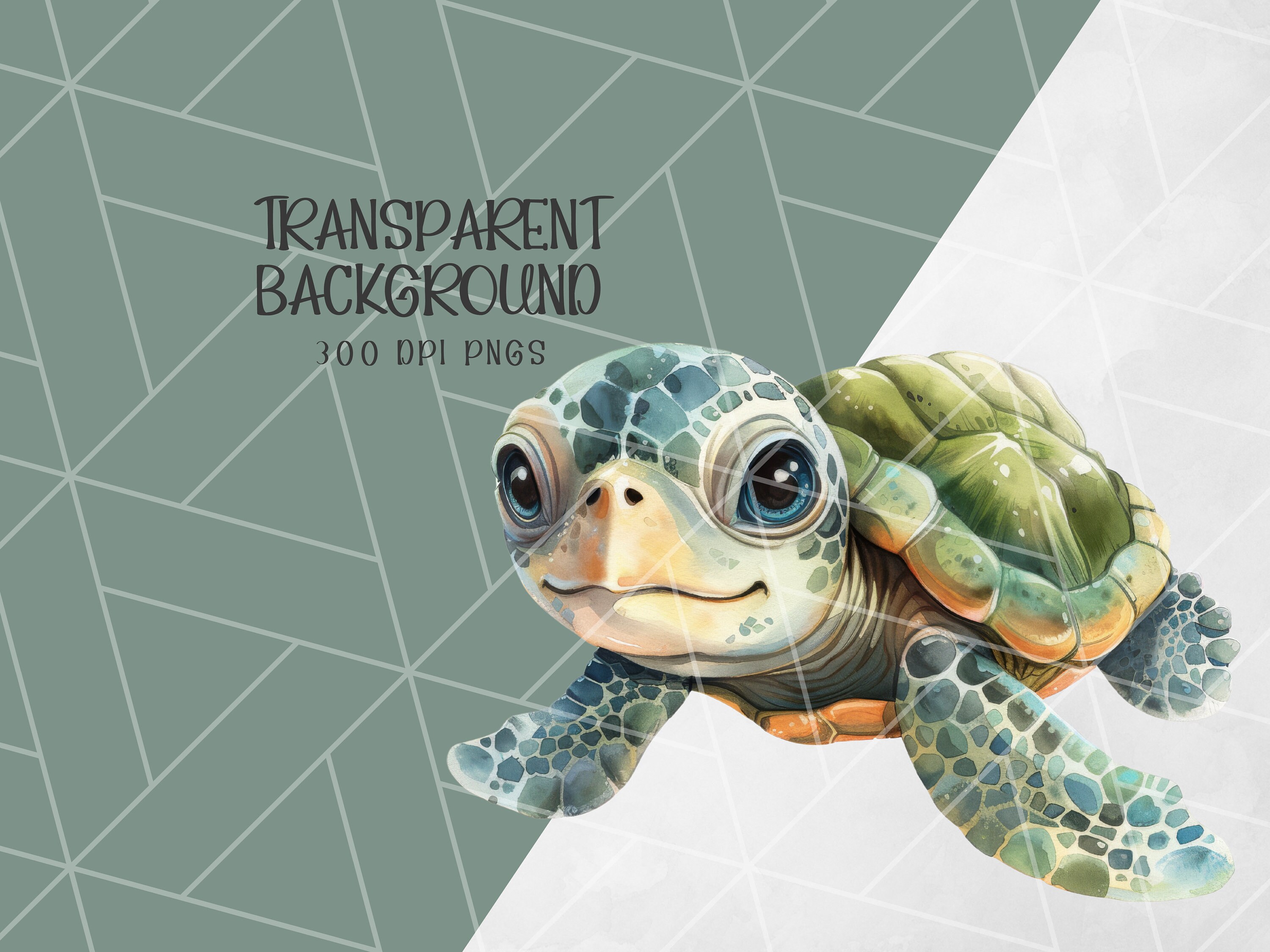 Watercolor Baby Sea Turtle Clipart Bundle Turtle PNG Ocean Clip Art ...