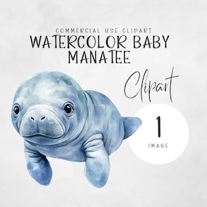 Aquarell Baby Manatee PNG Clipart | Süße Seekuh Clipart | Ozean Tiere Clipart | Unterwasser Aquarell | Florida Aquarell Clipart