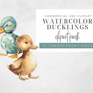 May include: Watercolor clipart pack of two ducklings. One duckling is blue and green, the other is brown. The text "COMMERCIAL USE CLIPART WATERCOLOR DUCKLINGS clipart pack 12 TRANSPARENT PNGS" is in the background.