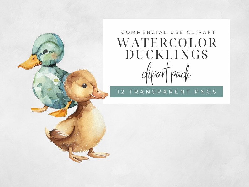May include: Watercolor clipart pack of two ducklings. One duckling is blue and green, the other is brown. The text "COMMERCIAL USE CLIPART WATERCOLOR DUCKLINGS clipart pack 12 TRANSPARENT PNGS" is in the background.