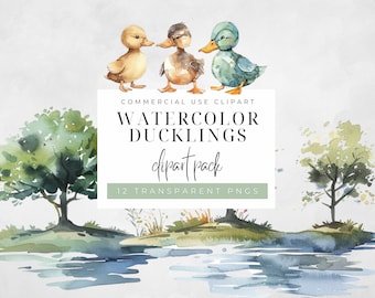 Watercolor Duckling Clipart, Digital Downloads, Mallard Duckling, Cute Ducks, Nursery Clip art, Printable Clipart, Spring, Commercial Use