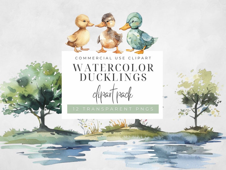 May include: Watercolor clipart pack of three ducklings.  The ducklings are yellow, brown, and blue.  The text "COMMERCIAL USE CLIPART WATERCOLOR DUCKLINGS clipart pack 12 TRANSPARENT PNGS" is on a white background.