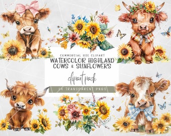 Vaca bebé de las Tierras Altas, Clipart PNG, Vaca de las Tierras Altas en acuarela, Clipart PNG de girasol floral, Clipart de pastizales, Clipart de ternero, Clipart occidental