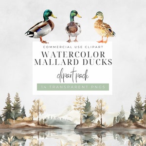 Watercolor Mallard Duck Clipart, PNG Digital Illustration Bundle, For Baby Shower Invite, Boy Birthday Party Invitation, Printable Clip Art