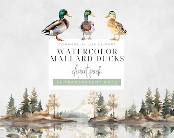 Watercolor Mallard Duck Clipart, PNG Digital Illustration Bundle, For Baby Shower Invite, Boy Birthday Party Invitation, Printable Clip Art