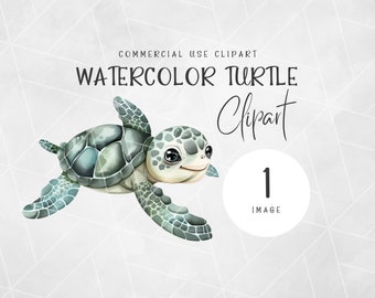Watercolor Baby Sea Turtle PNG Clipart | Cute Turtle Clipart | Ocean Animals Clipart | Undersea Watercolor | Sea Turtle Watercolor Clipart