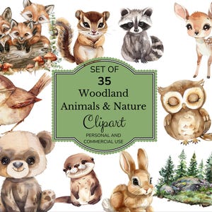 Woodland Animals Watercolor Clipart | Forest Animals Clip Art | Baby Shower Clipart | Cute Baby Animals | Nursery Decor | Bear Fox Owl