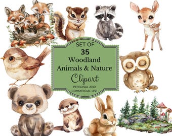 Bosdieren aquarel clipart | Bosdieren illustraties | Clipart babyshower | Schattige babydieren | Kinderkamerdecoratie | Berenvos Uil