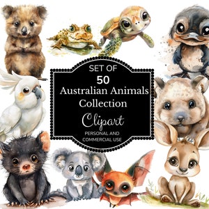 Australische Tiere Clipart | Aquarell Clipart | Känguru Clipart | Koala Clipart, Australien Clipart | Aussie Tiere PNG | Laub PNG