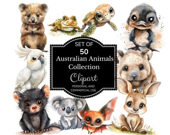 Clipart animali australiani / Clipart acquerello / Clipart canguro / Clipart Koala, Clipart Australia / PNG animali australiani / PNG fogliame
