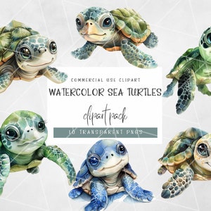 Aquarell Baby Meeresschildkröte Clipart-Bundle | Schildkröte PNG | Meer Clip Art | Schildkröten Clipart | Aquarell Clipart | Baby Clipart