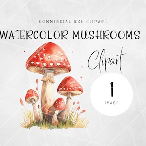 Aquarelle Champignon Cottage Noyau Clipart | Clipart champignon rouge | Boho champignon png, Clipart Aquarelle | Aquarelle de champignons | Champignon vénéneux