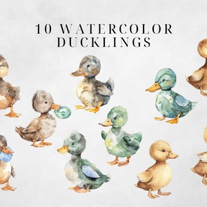 May include: Ten watercolor illustrations of ducklings in various poses. The ducklings are painted in shades of brown, yellow, green, and blue. The illustrations are perfect for adding a touch of whimsy to any project.