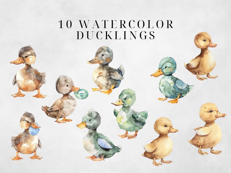 May include: Ten watercolor illustrations of ducklings in various poses. The ducklings are painted in shades of brown, yellow, green, and blue. The illustrations are perfect for adding a touch of whimsy to any project.