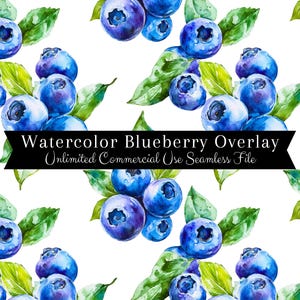 Overlay Blaubeere nahtlose Muster | Aquarell Blaubeere Nahtlos | Aquarell Obst Muster | Aquarell Blaubeere Nahtlos | Sommer PNG