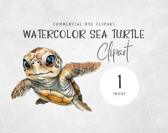 Watercolor Baby Sea Turtle PNG Clipart | Cute Turtle Clipart | Ocean Animals Clipart | Undersea Watercolor | Sea Turtle Watercolor Clipart