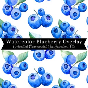 Overlay Blaubeere nahtlose Muster | Aquarell Blaubeere Nahtlos | Aquarell Obst Muster | Aquarell Blaubeere Nahtlos | Sommer PNG