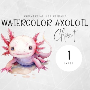 Cute Axolotl Clipart | Baby Axolotl | Cute Axolotl Png | Kawaii Axolotls | Sea Animal Graphics | Watercolor Clip Art | Baby Axolotl Clipart