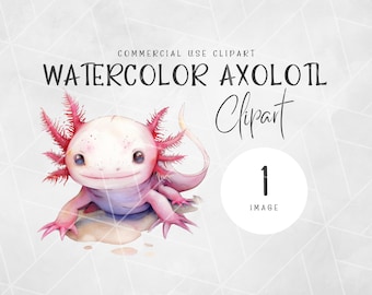 Cute Axolotl Clipart | Baby Axolotl | Cute Axolotl Png | Kawaii Axolotls | Sea Animal Graphics | Watercolor Clip Art | Baby Axolotl Clipart