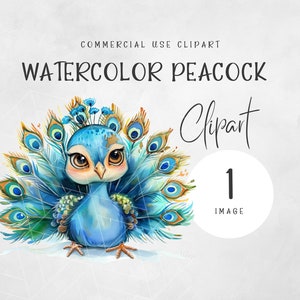 水彩画のベビー孔雀のクリップアート | 孔雀 PNG、孔雀の羽のクリップアート | 鳥のクリップアート | 保育園のクリップアート | 保育園の壁アート | スクラップブッキング
