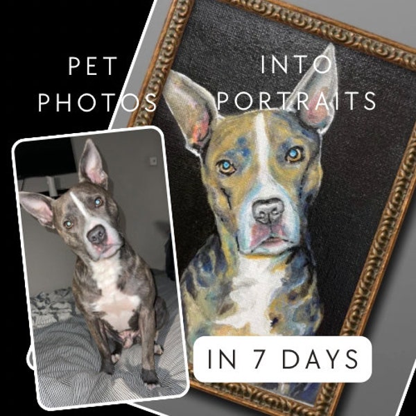 Custom, hand painted Pet Portraits. I aim to capture your pets character in my own unique style, unlike any other. Just for you, in acrylic.