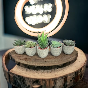 5pcs Artificial Potted Succulent, Small Fake Potted Plant For Home Decor