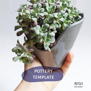 May include: A grey ceramic planter holding a succulent plant with green and purple leaves. The planter has an unusual, asymmetrical shape. Text on the image reads "POTTERY TEMPLATE".