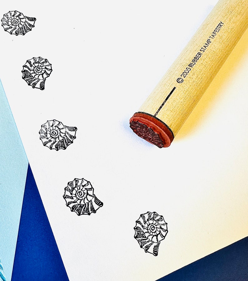 Ammonite Shell Rubber Stamp - Etsy