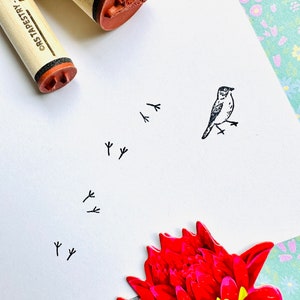 Vogel und Vogelspuren Stempel Set